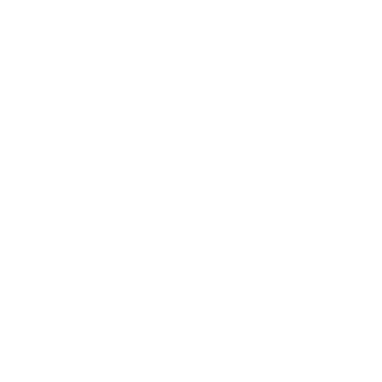 A white circle on a black background.